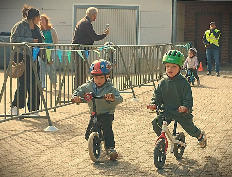 De zon kwam tevoorschijn voor Zolder Leeft
