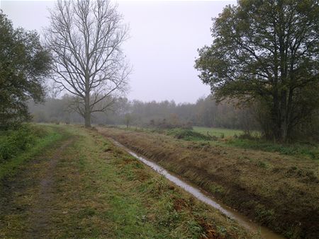 Die ochtend in de Mangelbeekvallei