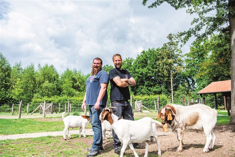 Dieren op Bovy komen niets tekort