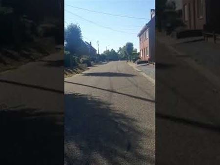 Dieren wanhopig op zoek naar drinkwater