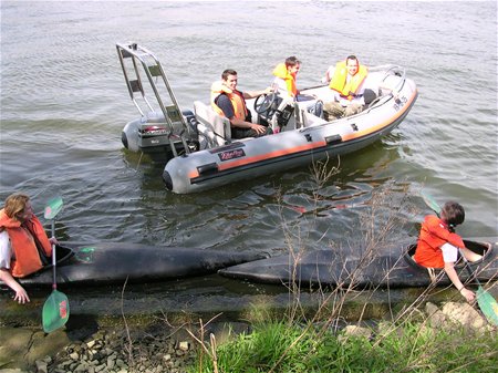 Dierenrescue te land en te water