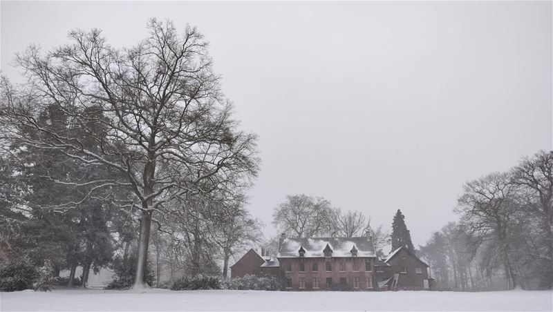 Domherenhof in een winters kleedje