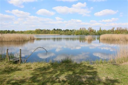 Drie geleide wandelingen in het vijvergebied