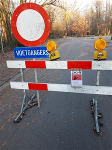 Drijfjacht op everzwijnen in Zolder