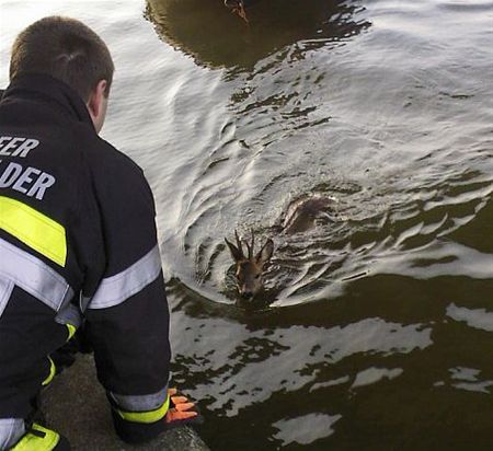 Eduardus uit het kanaal gered