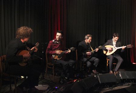 Een batterij aan mandolines op Muzepodium