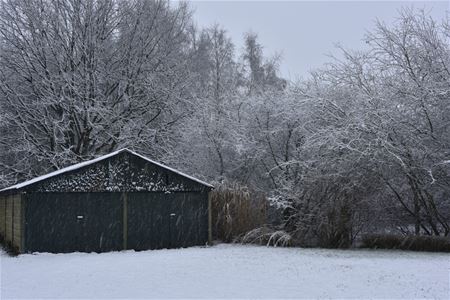 Een besneeuwd Bolderberg