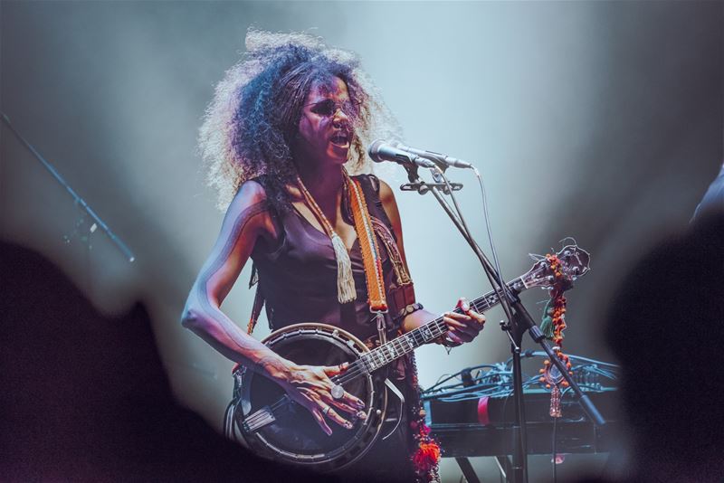 Een bijzondere combinatie stem-banjo