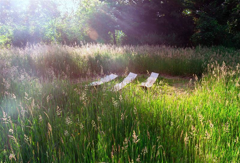 Een bijzondere nocturne op een zomerse avond