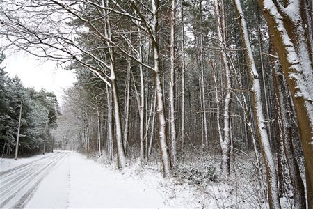 Een blik op de derde winterprik