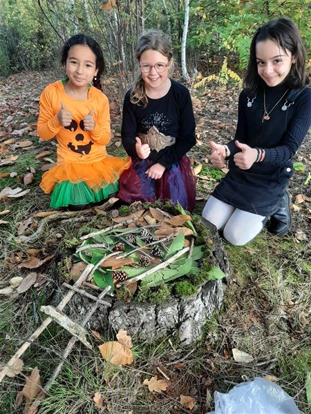 Een boswandeling als vakantieproloog