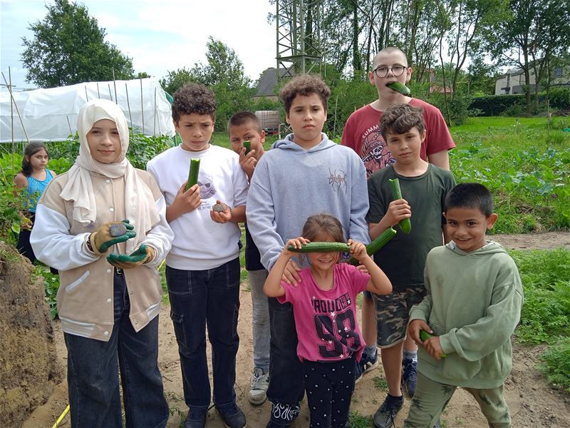 Een komkommer als beloning voor tuinwerk