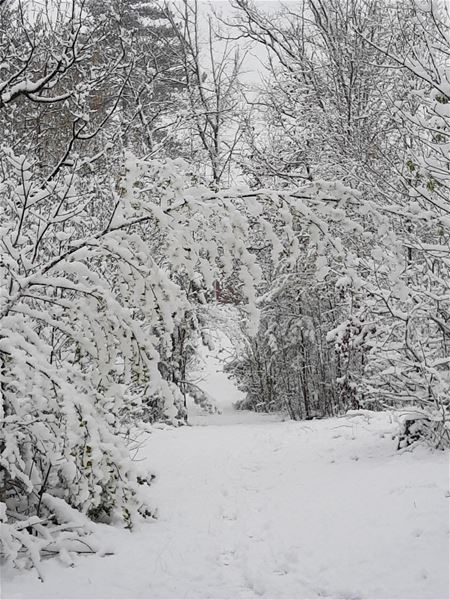 Een ondergesneeuwde ochtend in april