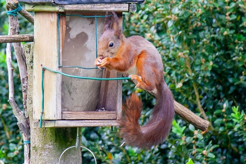 Een onverwachte gast