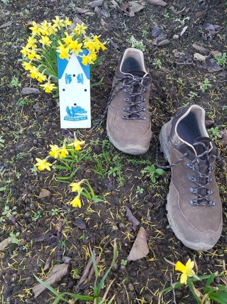 Een stevige trip vanuit Eversel met Wandelend Paal