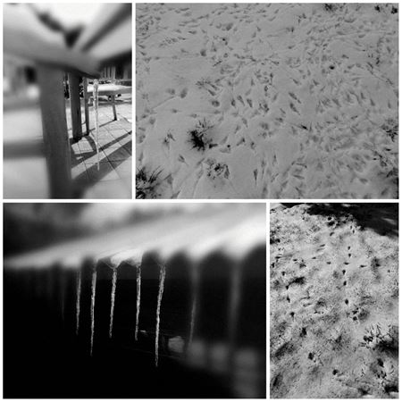 Een tuinimpressie ...