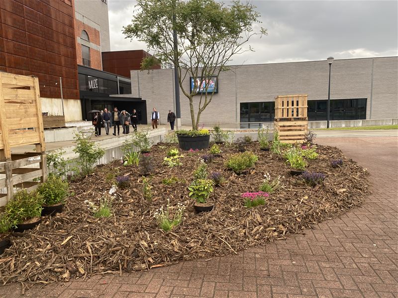 Een week lang een groener Marktplein