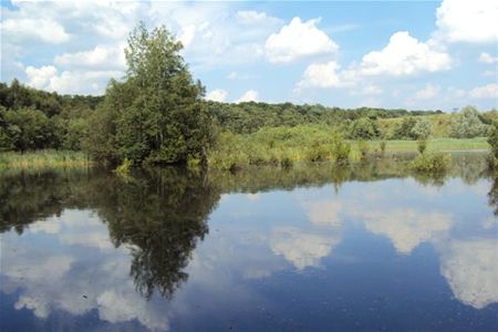 Een zomerwandeling door De Laambroeken