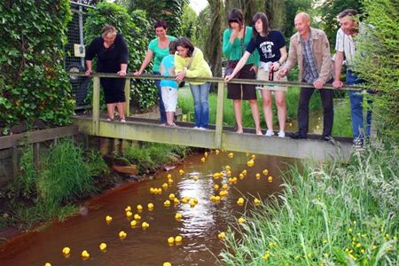 Eendjesrace op de Mangelbeek