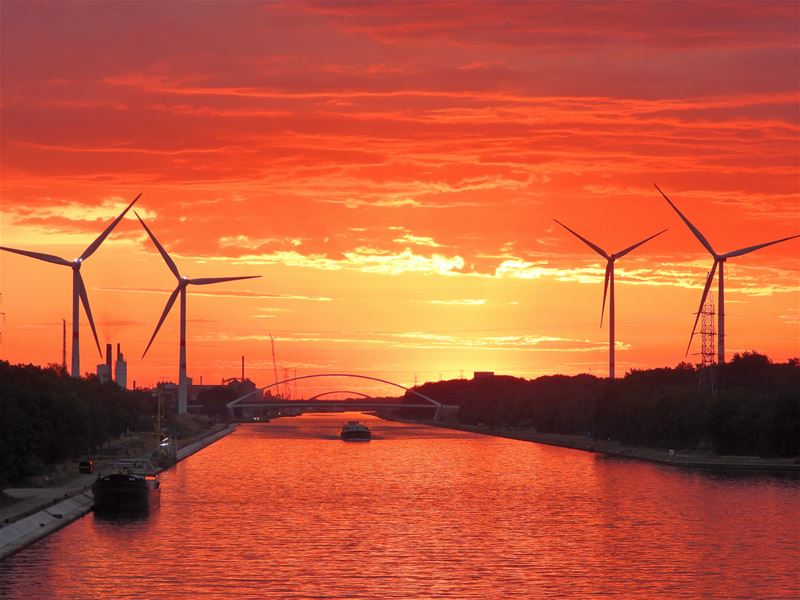 En dit zijn nog eens de winnende foto's