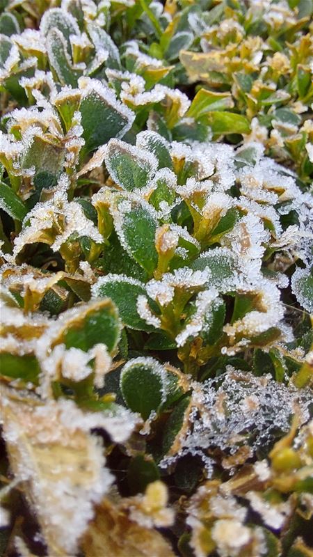 En ook de eerste grondvorst