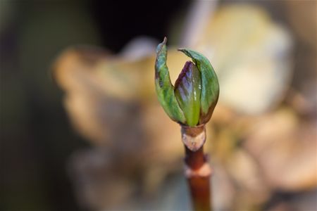 En toch begint vandaag de winter