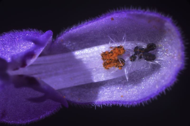 En zo zijn we in de lente beland