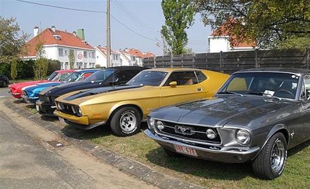 Enkele honderden Mustangs verwacht