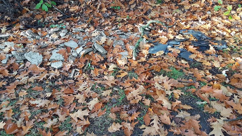 Eternietleien gestort in de natuur