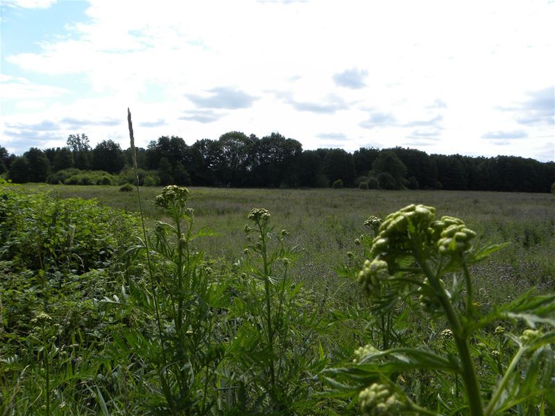 Even ademhalen in de natuur (2)