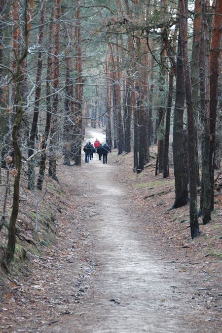 Even ademhalen in de natuur (5)