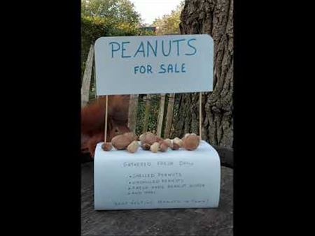 Even langsgaan voor een notenbuffet ...