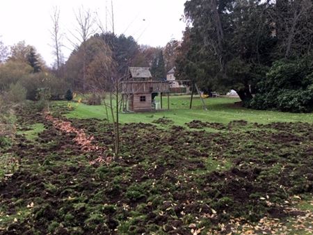 Everzwijnenterreur aan boswachtershuis Vogelsanck