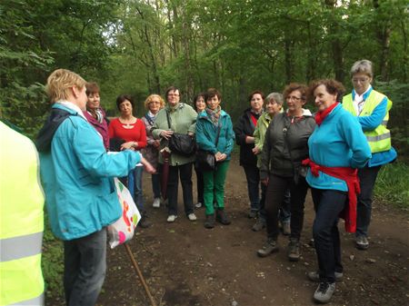 Femma-dames sponnen een web