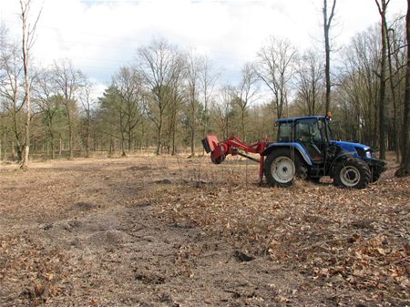 Galgenberg krijgt weer heide