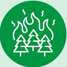 Geen brandgevaar en dus code groen in de natuur