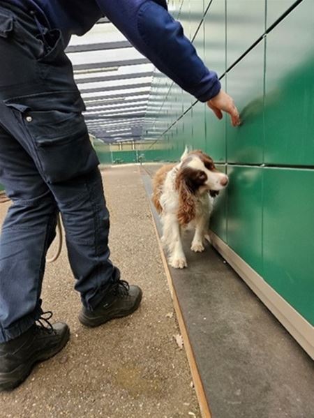Geen drugs gevonden bij grote controle in SFC