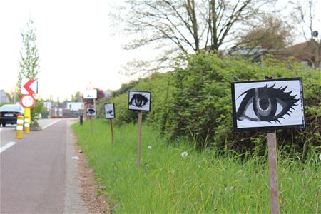 Geheimzinnige bordjes opgedoken in Zolder-Centrum