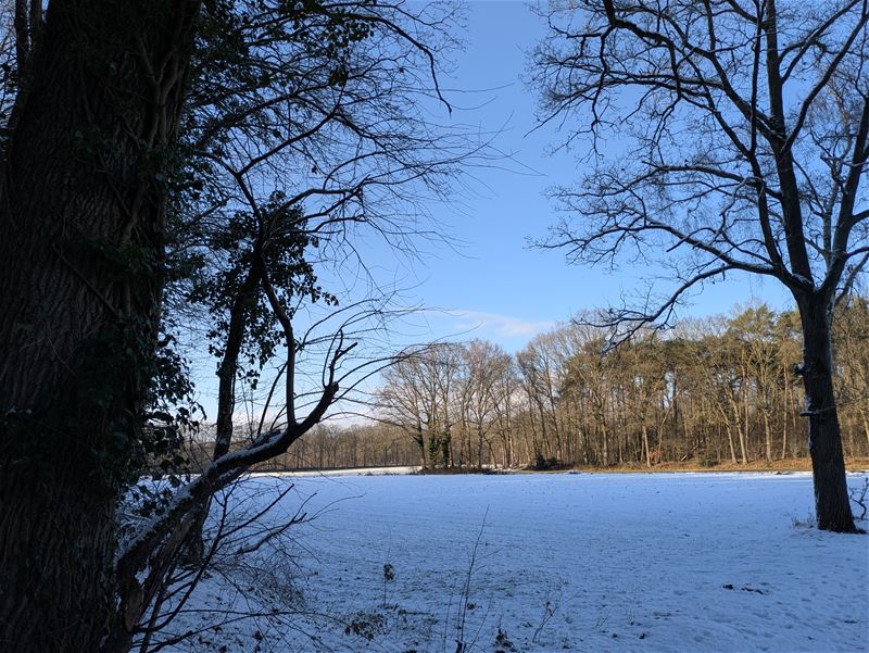 Genieten van de sneeuw