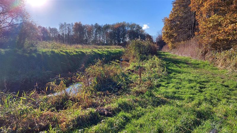 Genieten van herfstkleuren en -geuren