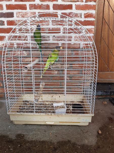 Gigantische drukte in VZOC blijft aanhouden