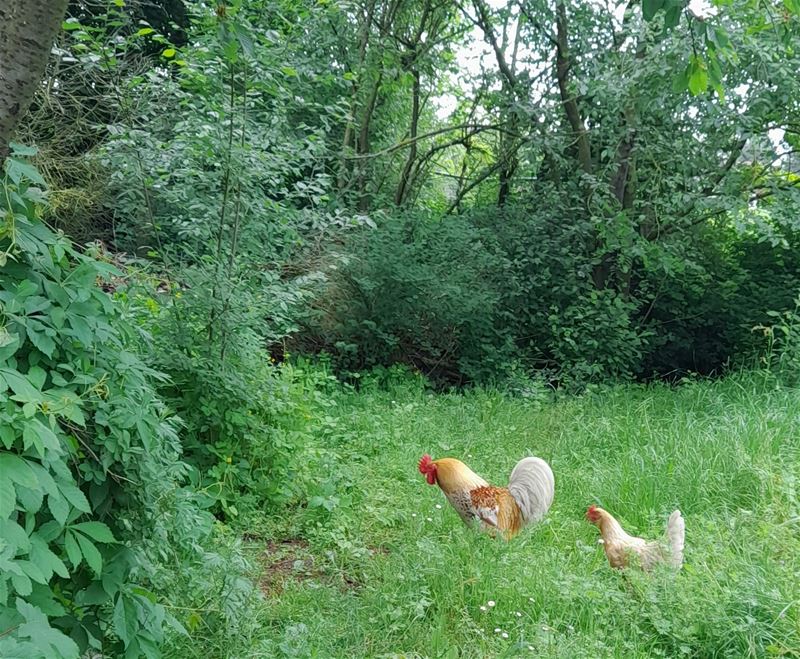 Goede buren weten wat ze aan mekaar hebben