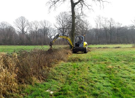 Gracht in Schansbeemden opgeruimd