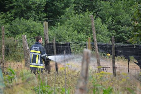 Grasbrand in de Schootstraat