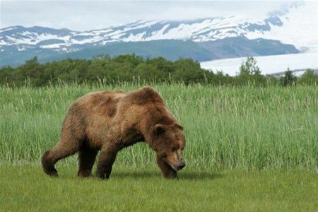 Groeten uit Alaska