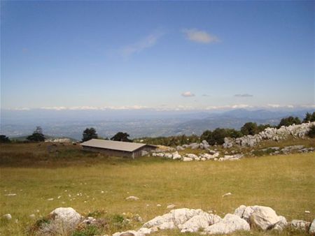 Groeten uit de Provence