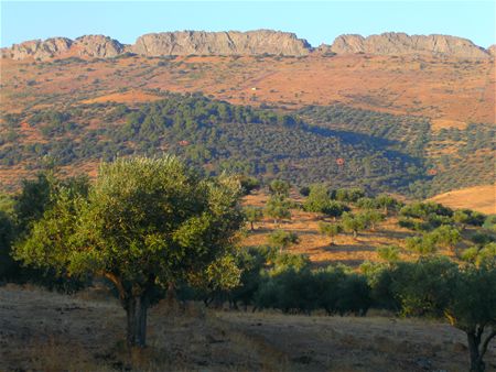 Groeten uit Extremadura