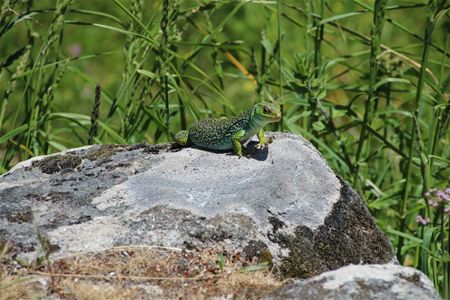 Groeten uit Noord-Portugal