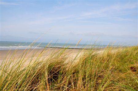 Groeten uit Oostende