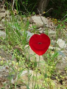Groeten uit Samos